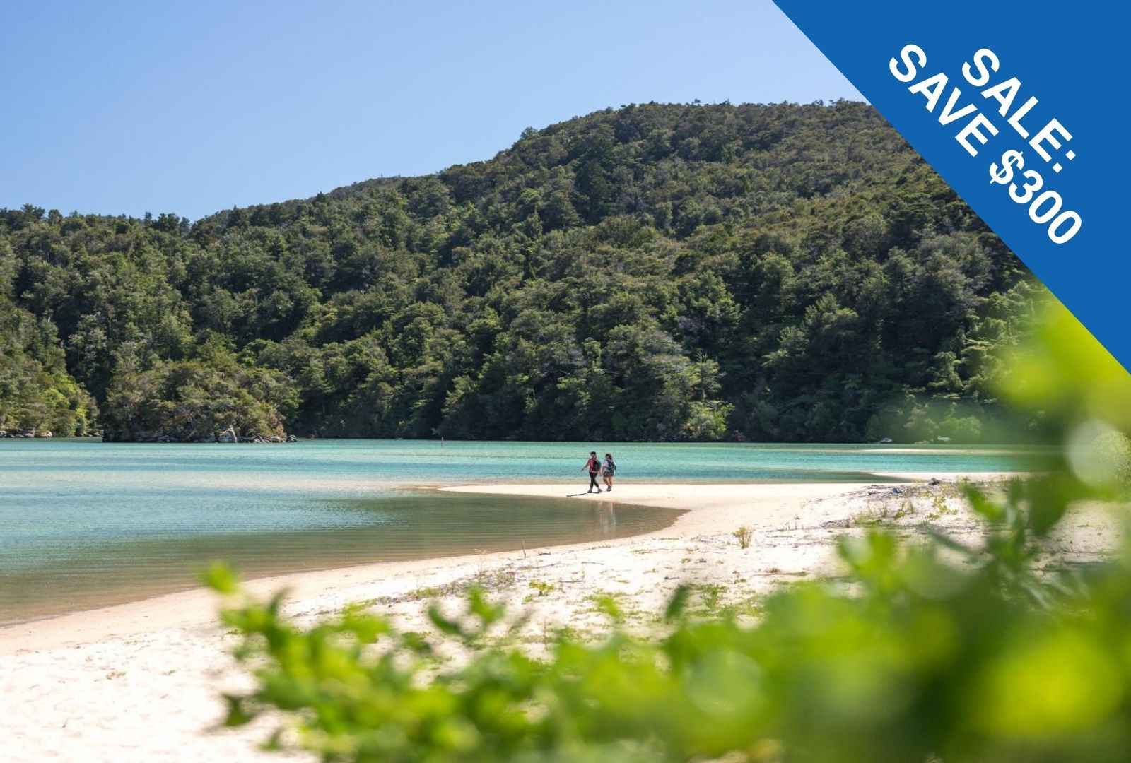 10 Day North & South Tour