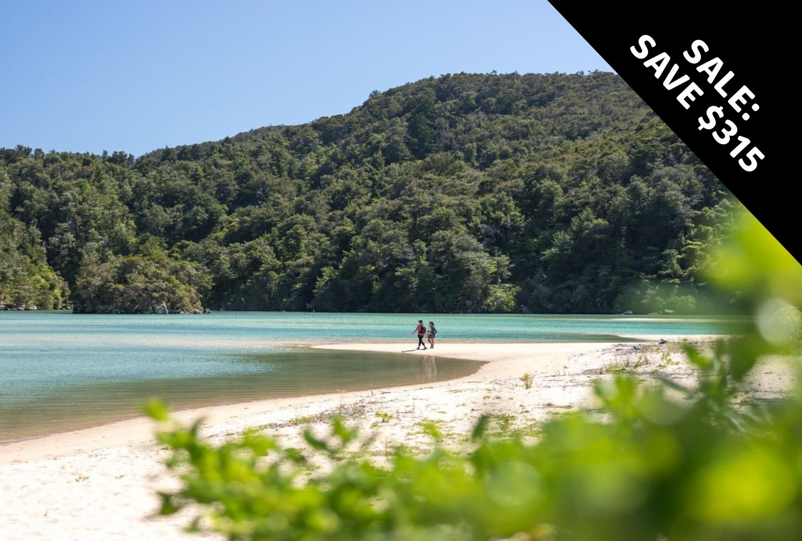 10 Day North & South Tour