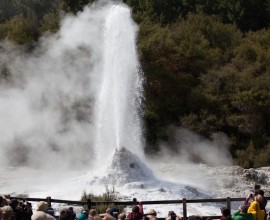 Mud Pools & The Lady Knox Geyser