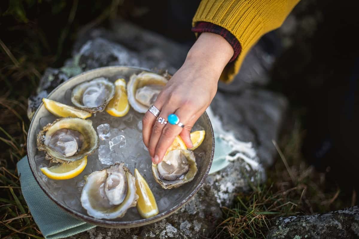 Fresh Bluff Oysters 