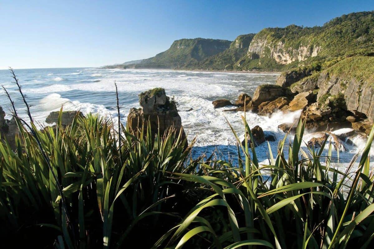 See the rugged West Coast of the South Island