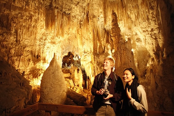 waitomo_caves