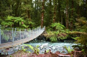 bus tours in new zealand north island